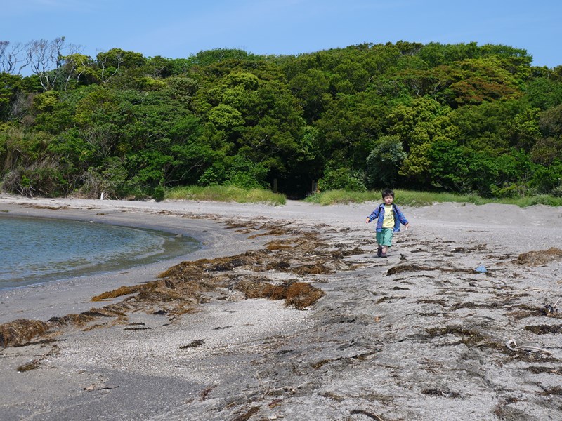 沖ノ島は観光と環境保全のバランスが課題